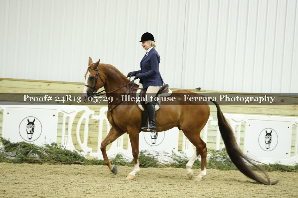 Proof 24R13_05729