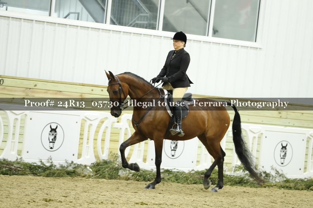 Proof 24R13_05730