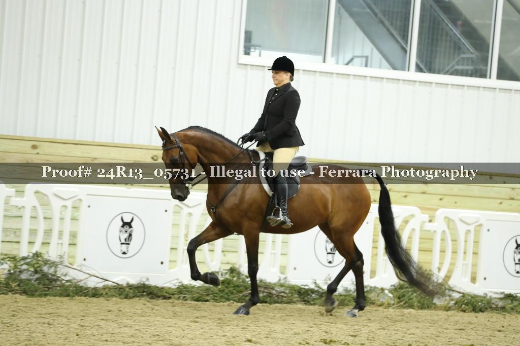 Proof 24R13_05731
