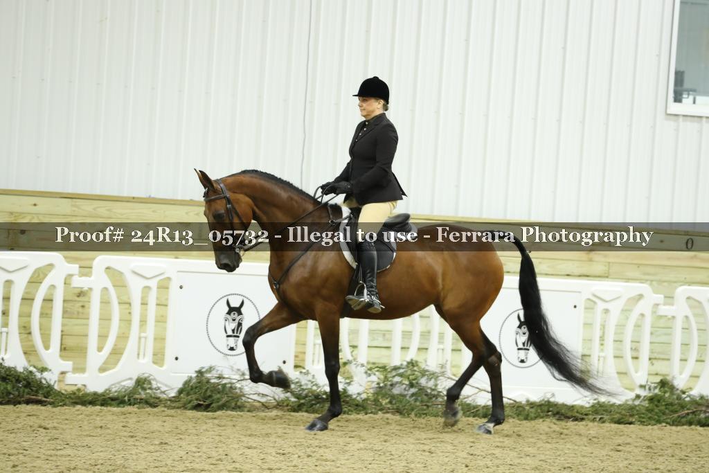 Proof 24R13_05732