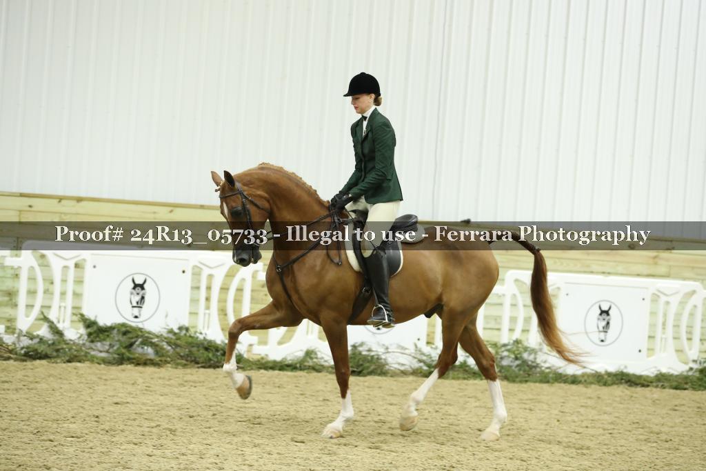 Proof 24R13_05733