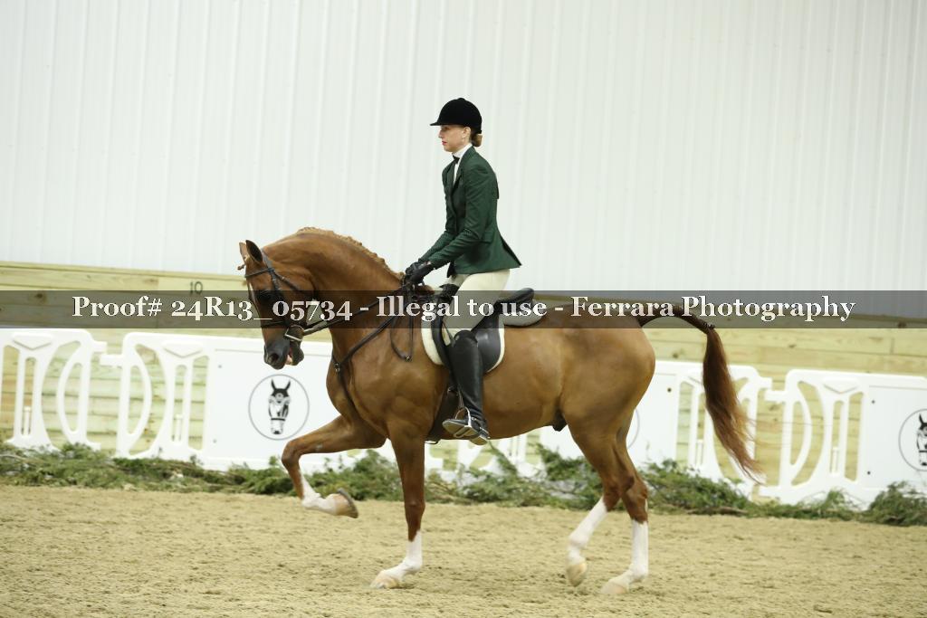 Proof 24R13_05734
