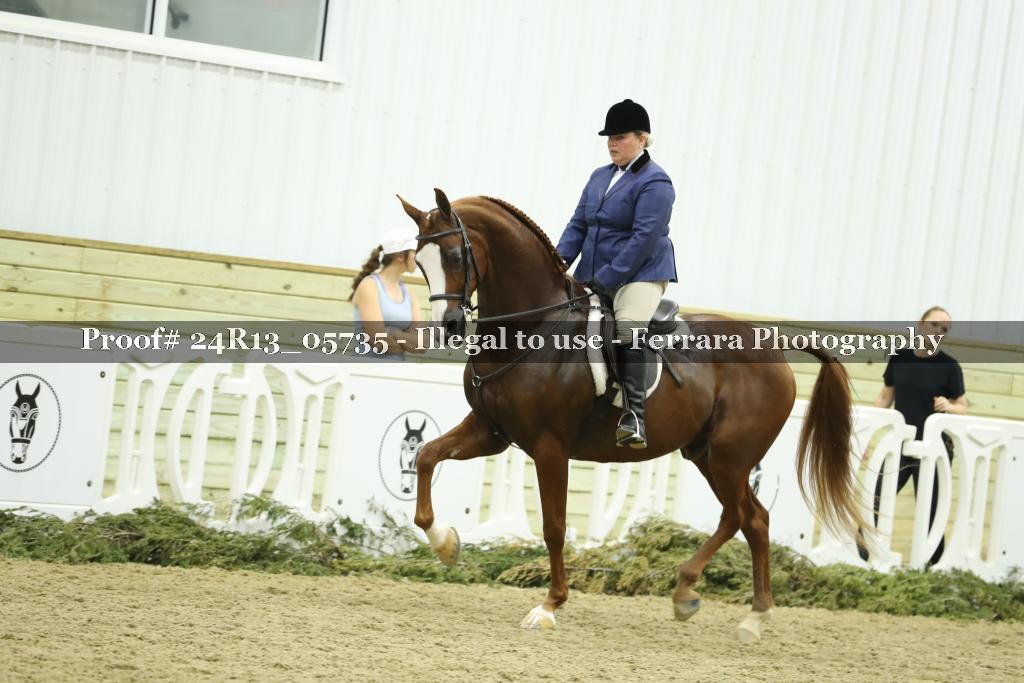 Proof 24R13_05735