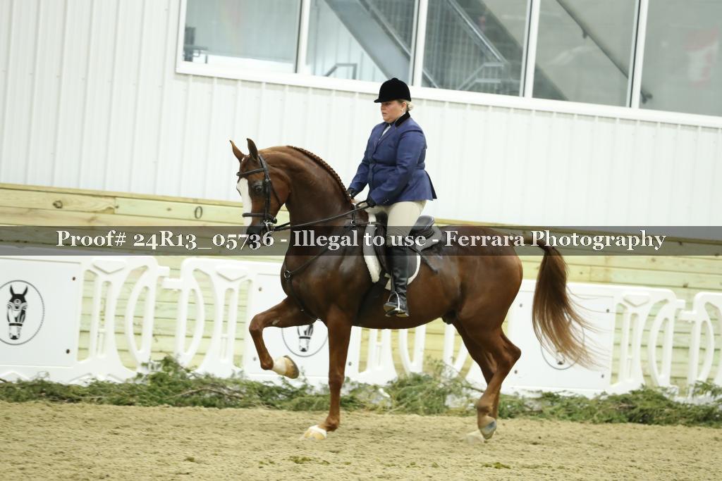 Proof 24R13_05736