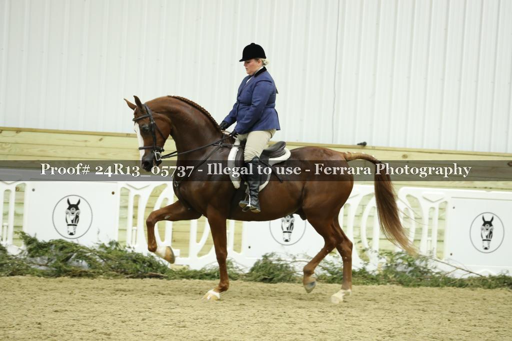 Proof 24R13_05737