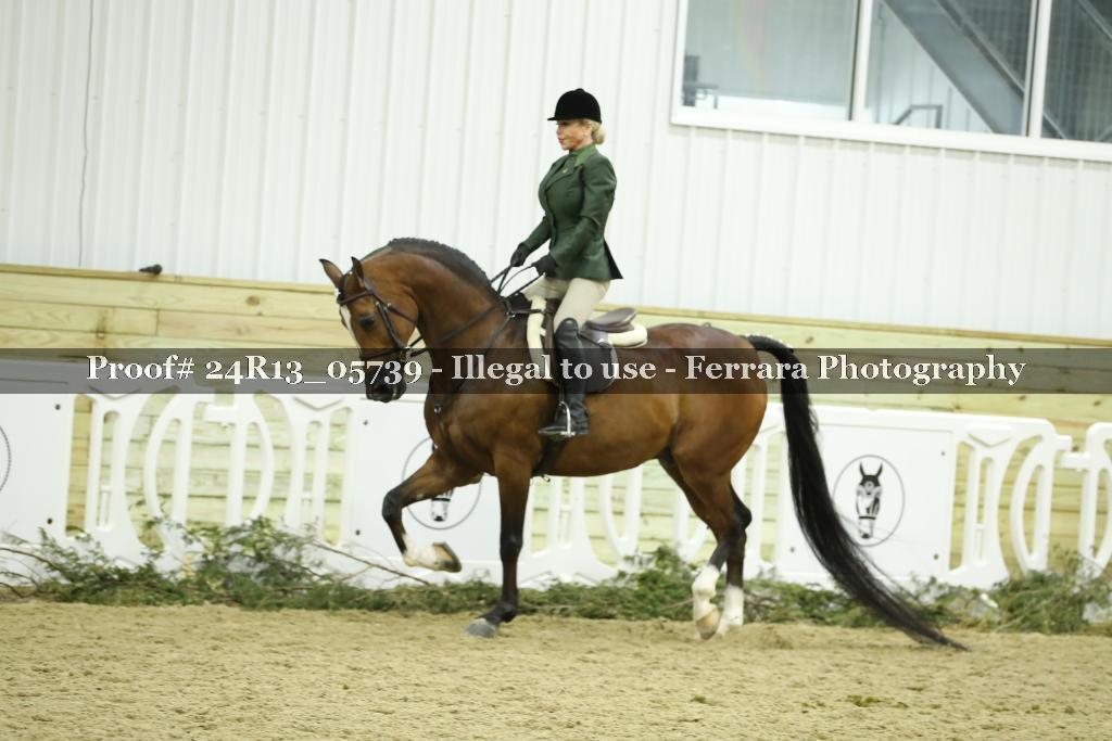 Proof 24R13_05739