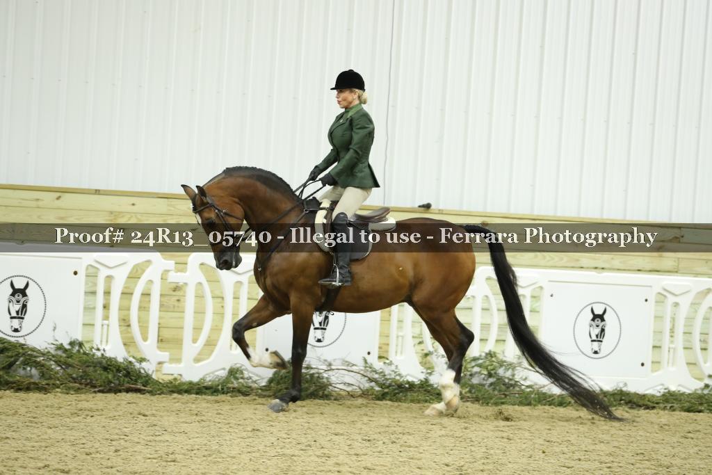 Proof 24R13_05740