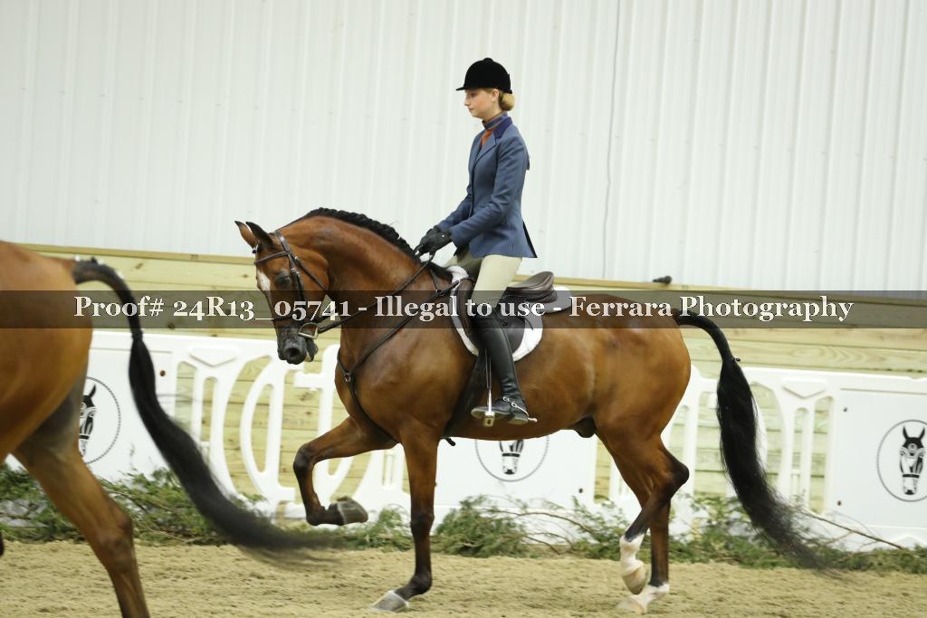 Proof 24R13_05741