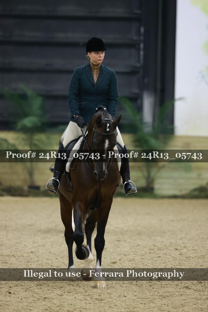 Proof 24R13_05743
