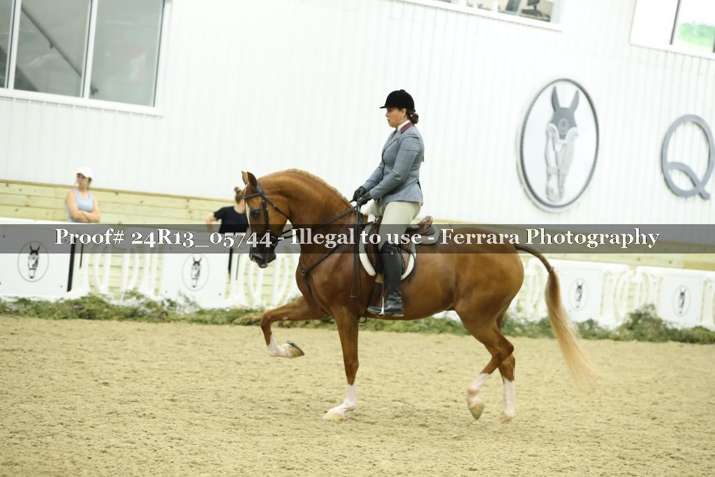 Proof 24R13_05744