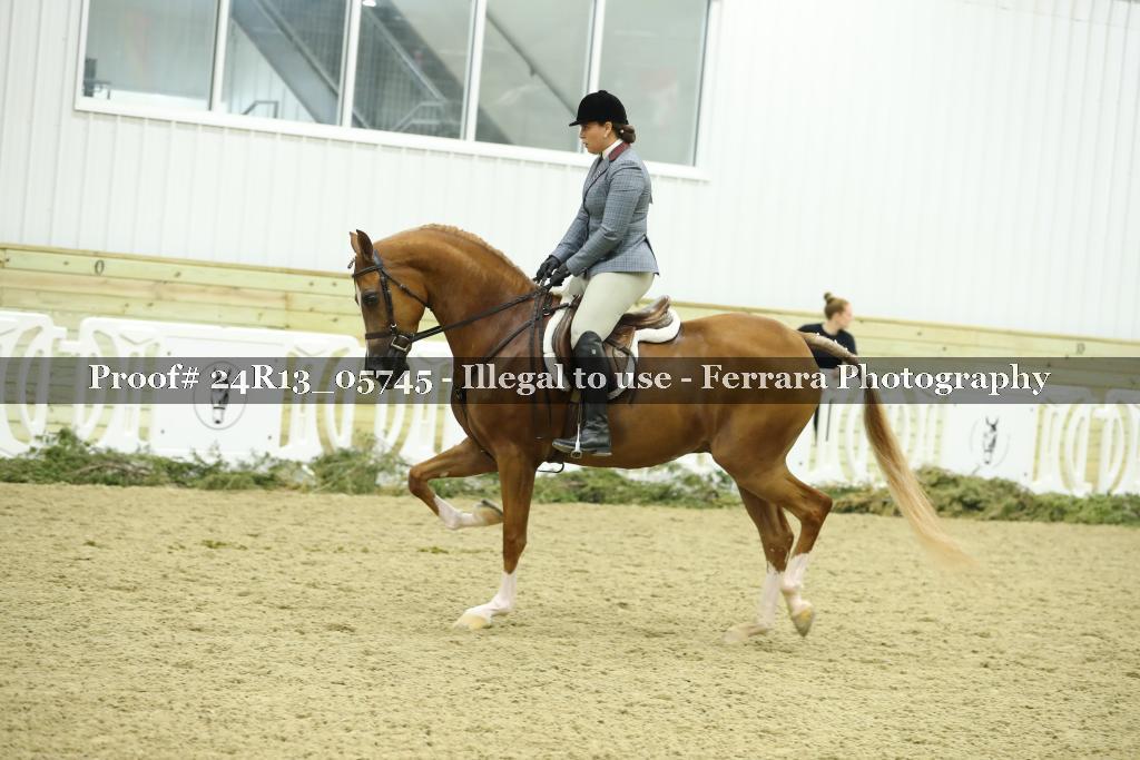 Proof 24R13_05745