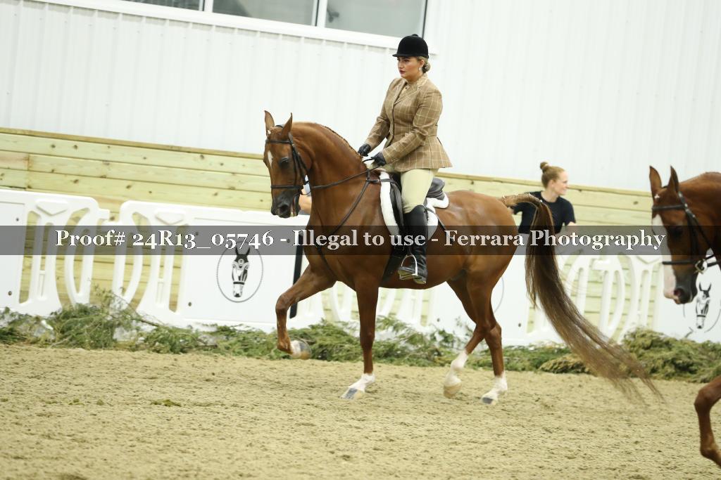 Proof 24R13_05746