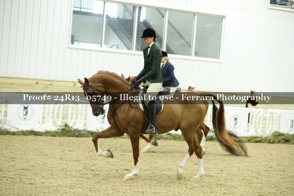 Proof 24R13_05749