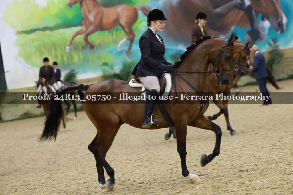 Proof 24R13_05750