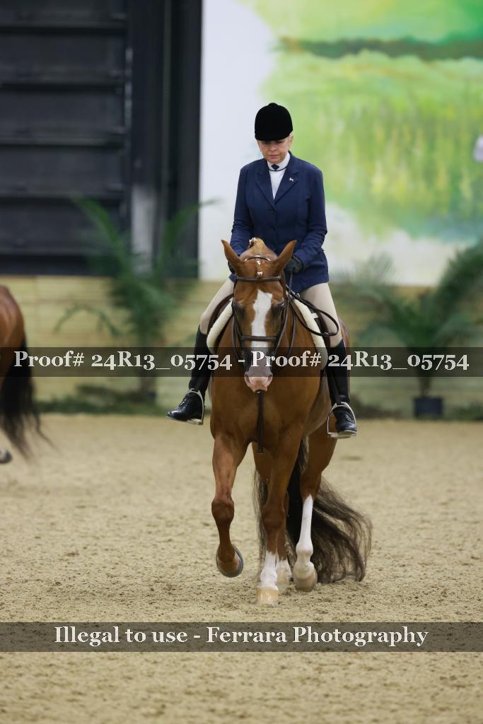 Proof 24R13_05754