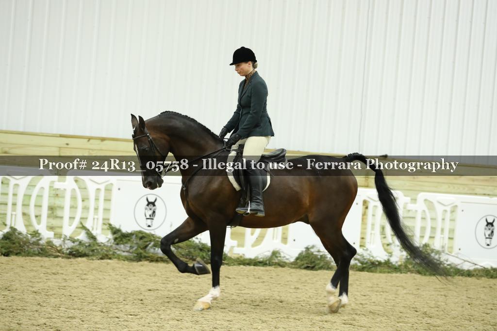 Proof 24R13_05758