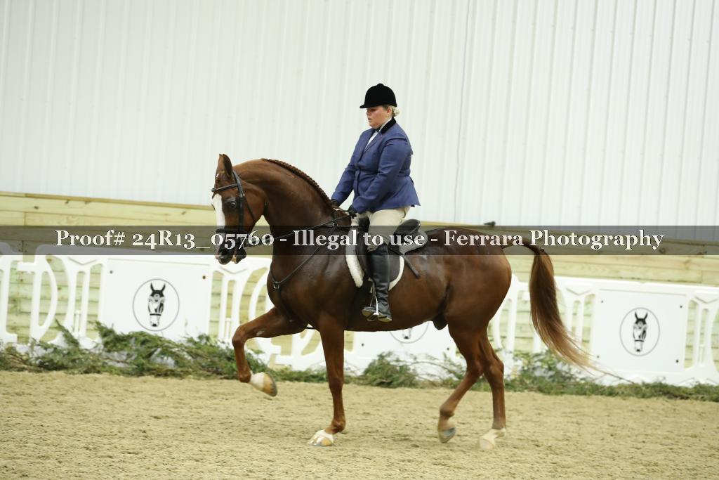 Proof 24R13_05760