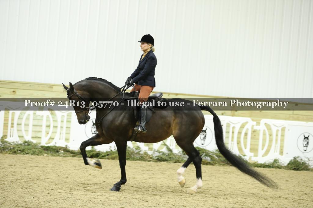 Proof 24R13_05770