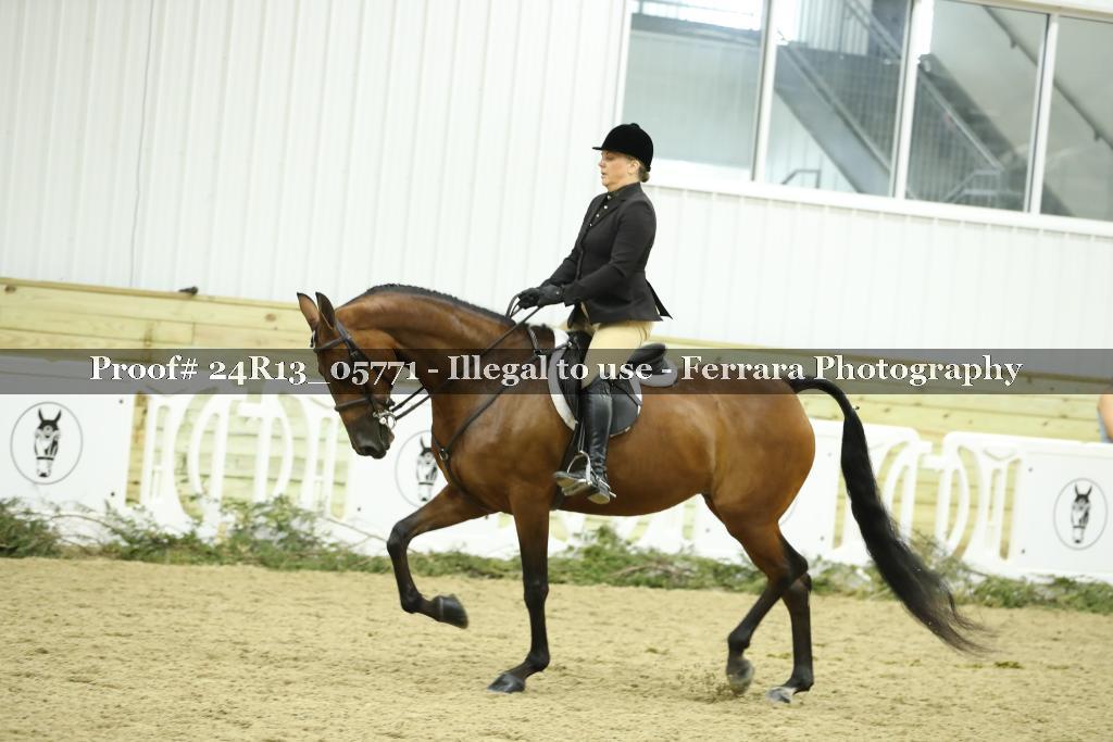 Proof 24R13_05771