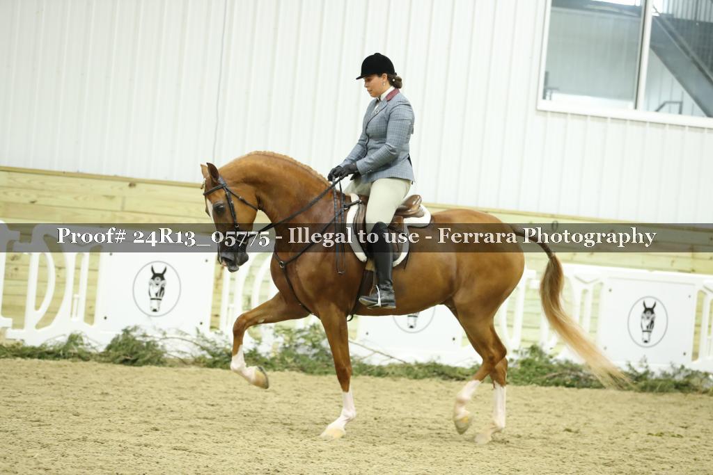 Proof 24R13_05775