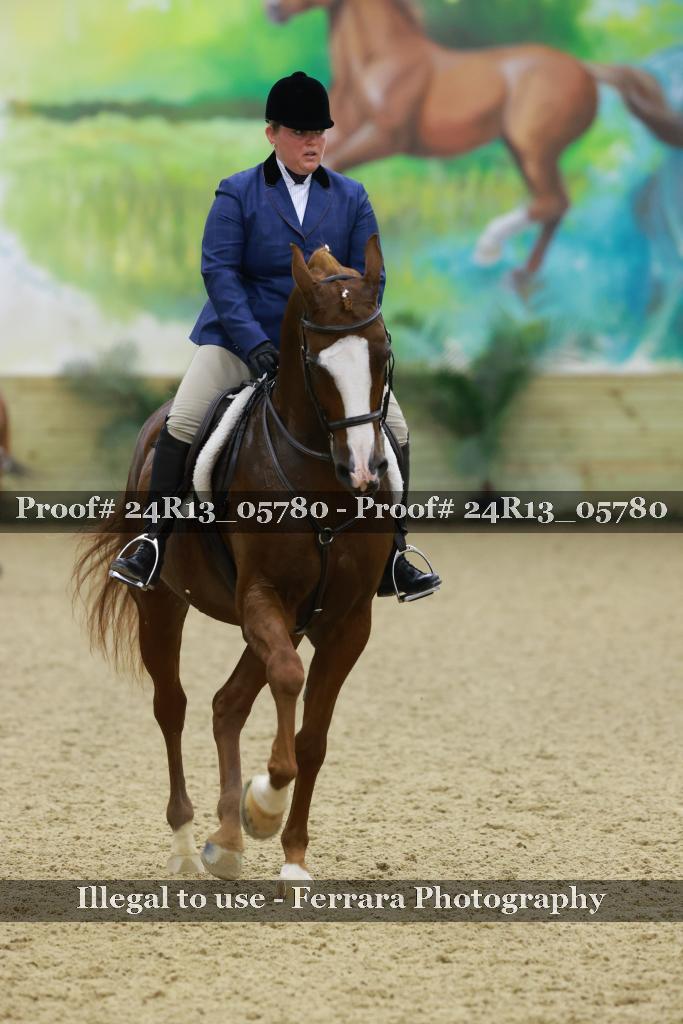 Proof 24R13_05780