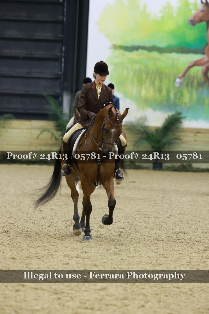 Proof 24R13_05781