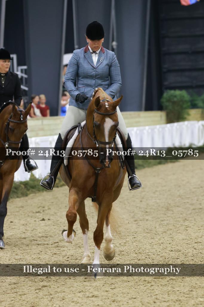 Proof 24R13_05785