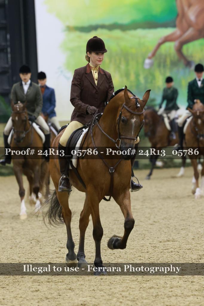 Proof 24R13_05786