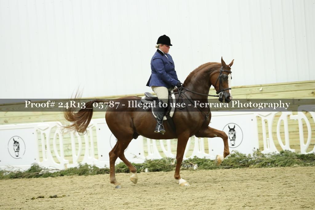 Proof 24R13_05787