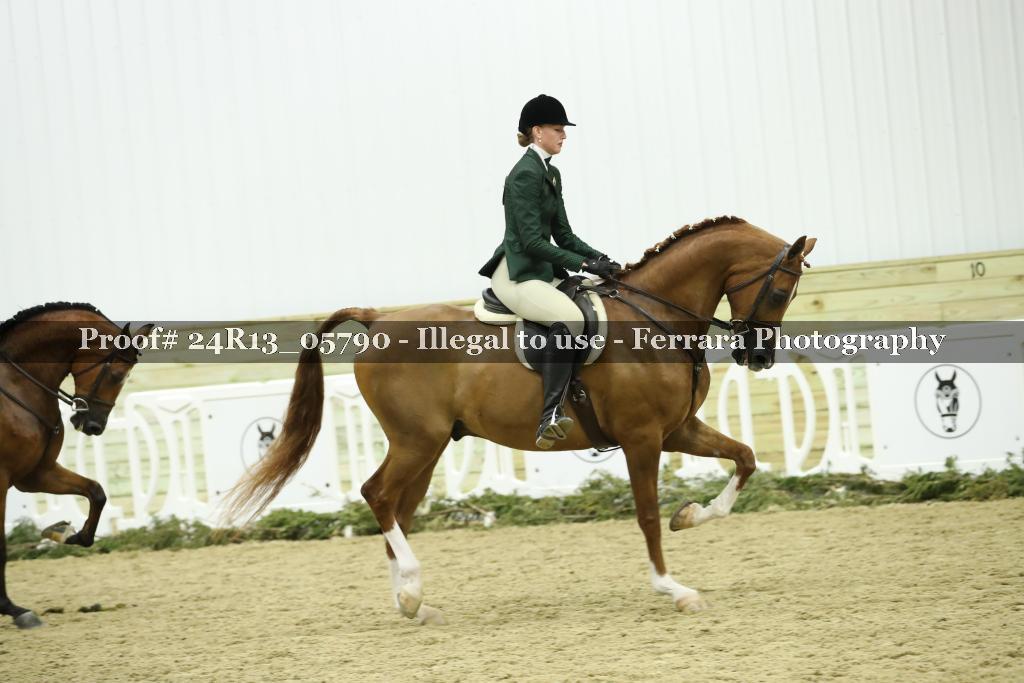 Proof 24R13_05790