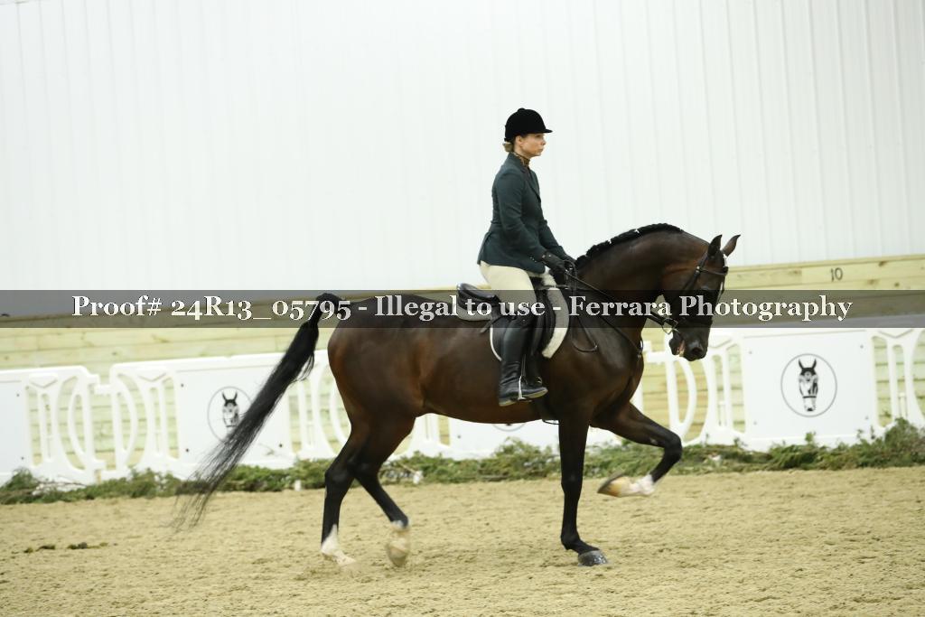 Proof 24R13_05795