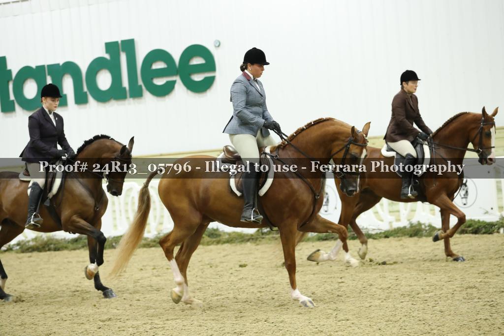 Proof 24R13_05796
