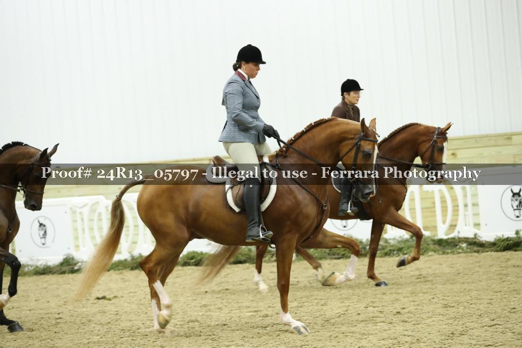 Proof 24R13_05797