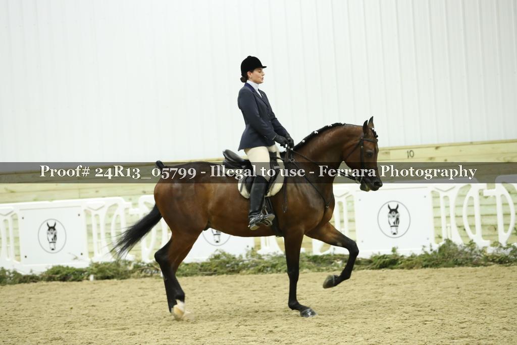 Proof 24R13_05799