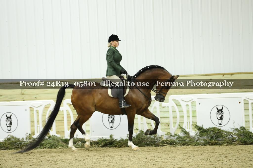 Proof 24R13_05801