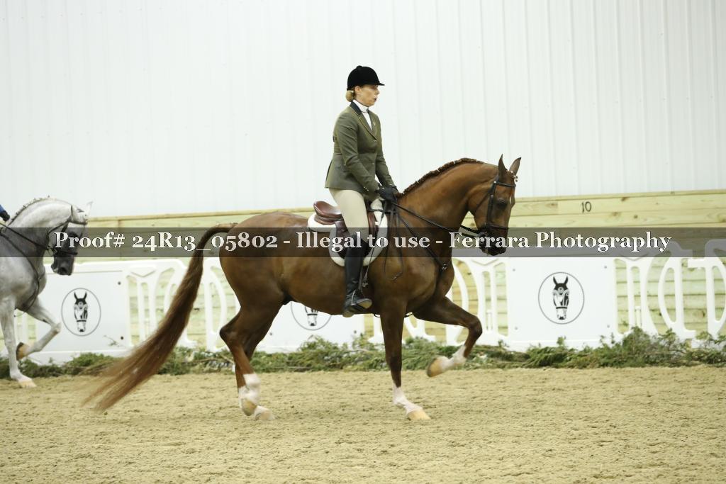 Proof 24R13_05802