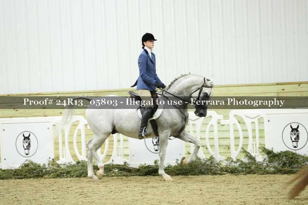 Proof 24R13_05803