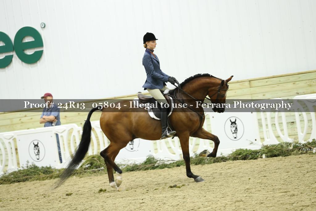 Proof 24R13_05804