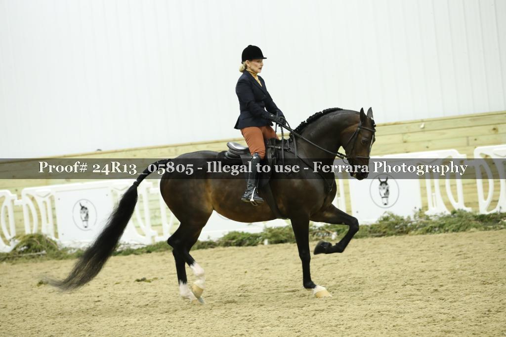 Proof 24R13_05805