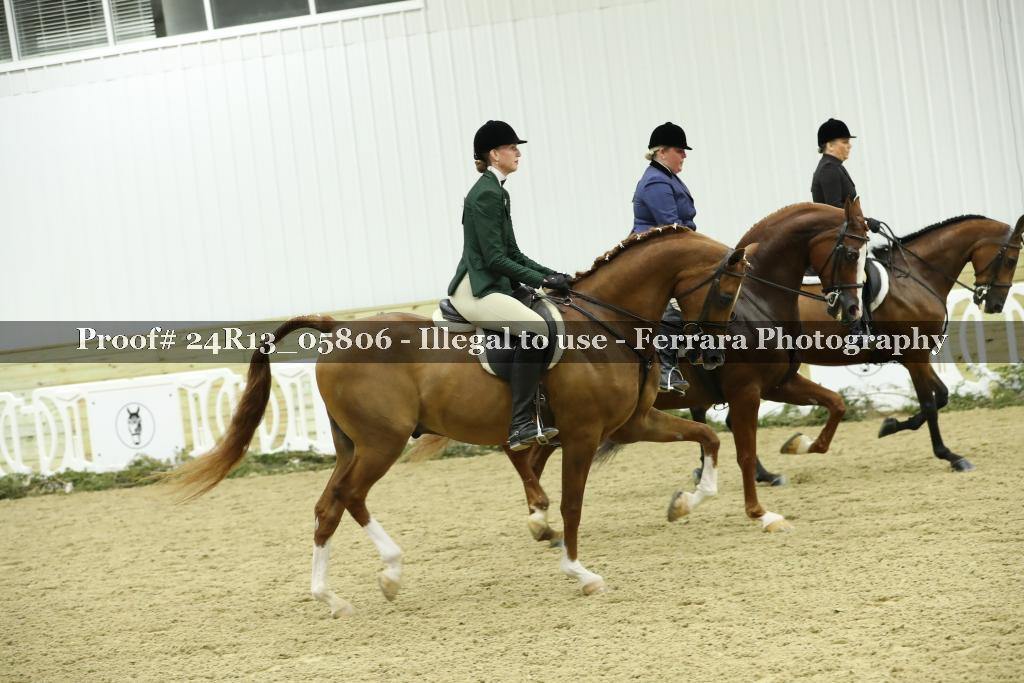 Proof 24R13_05806