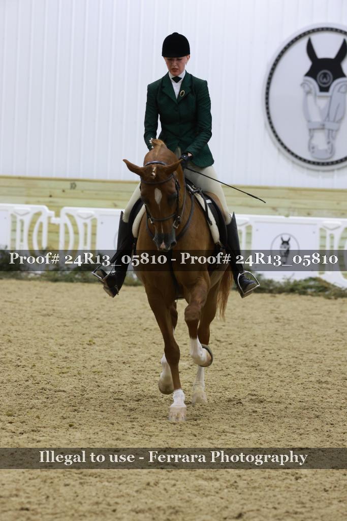 Proof 24R13_05810