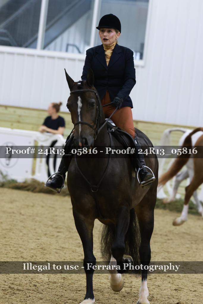 Proof 24R13_05816