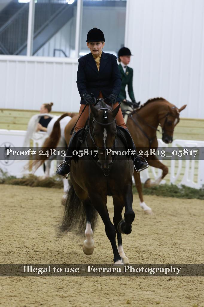 Proof 24R13_05817