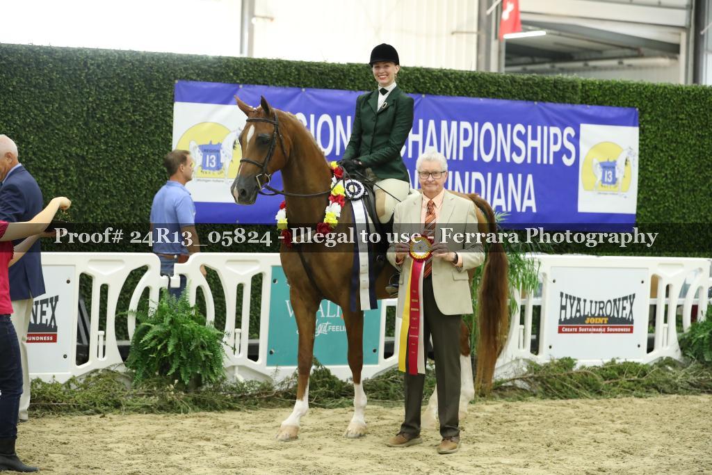 Proof 24R13_05824