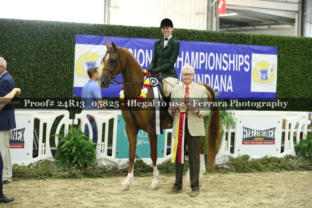Proof 24R13_05825