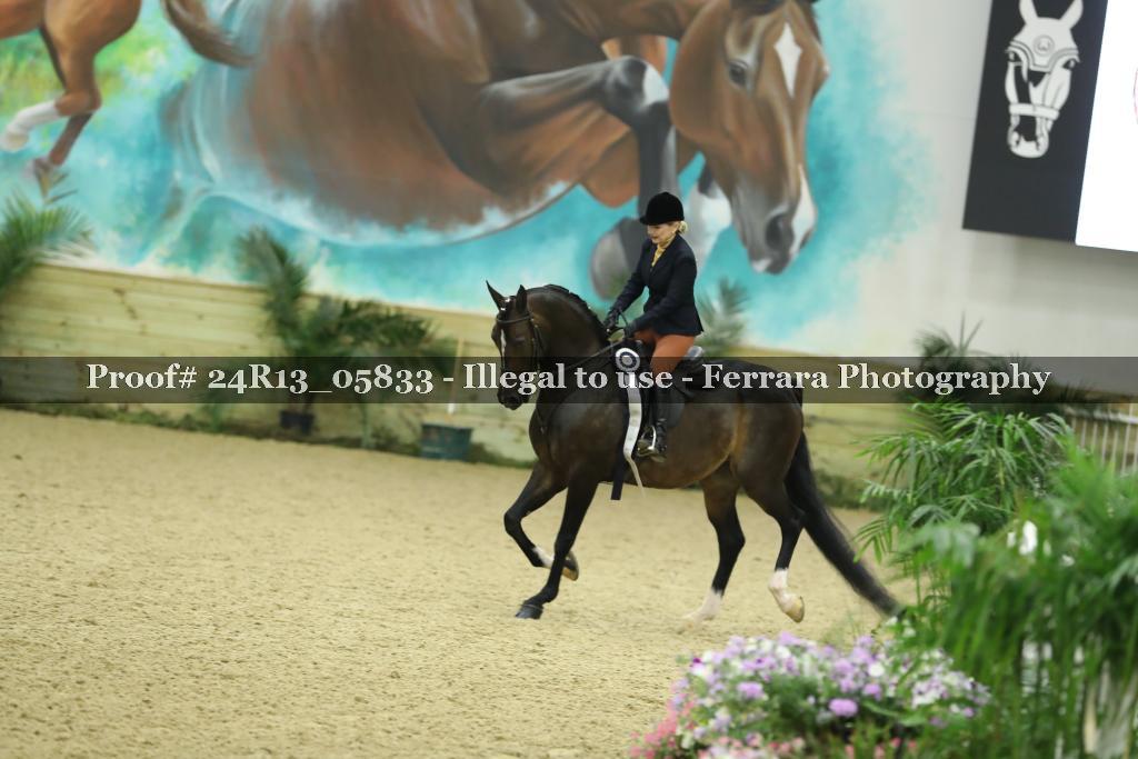 Proof 24R13_05833