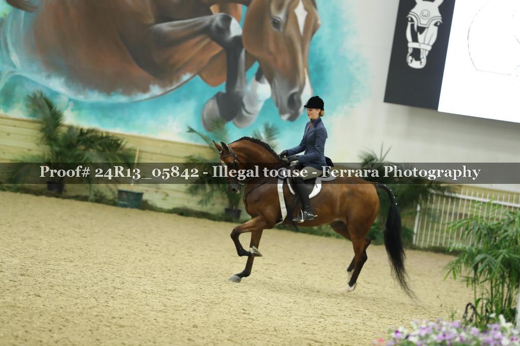 Proof 24R13_05842
