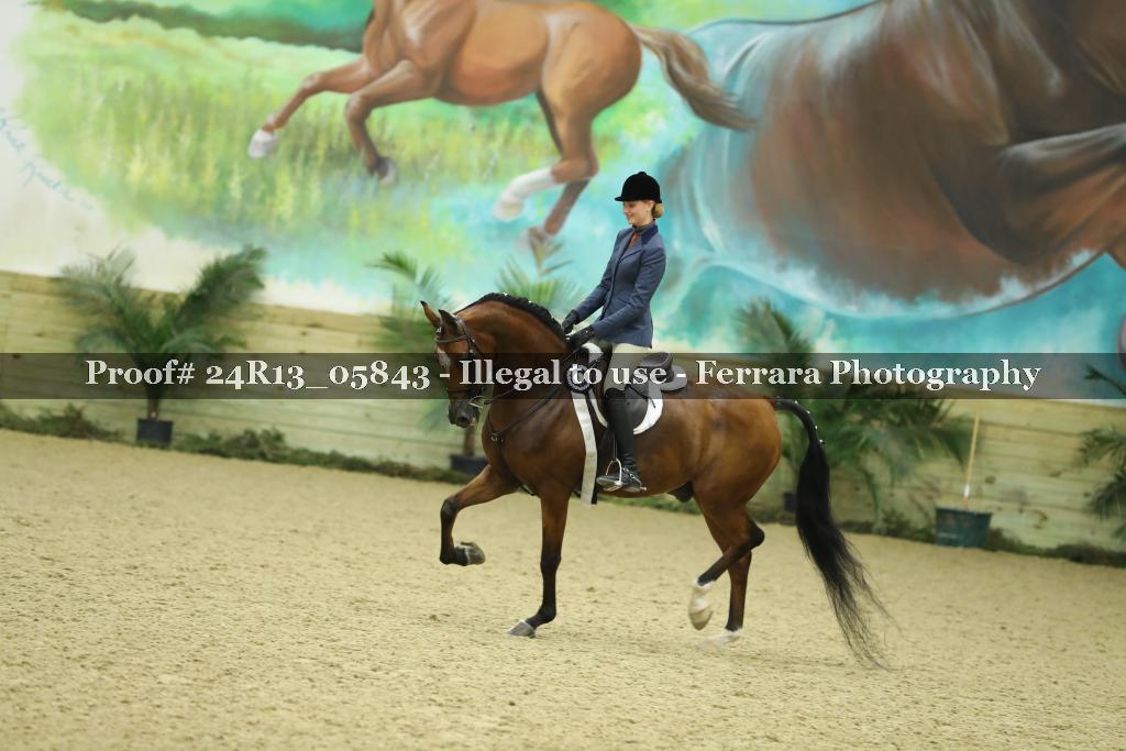 Proof 24R13_05843