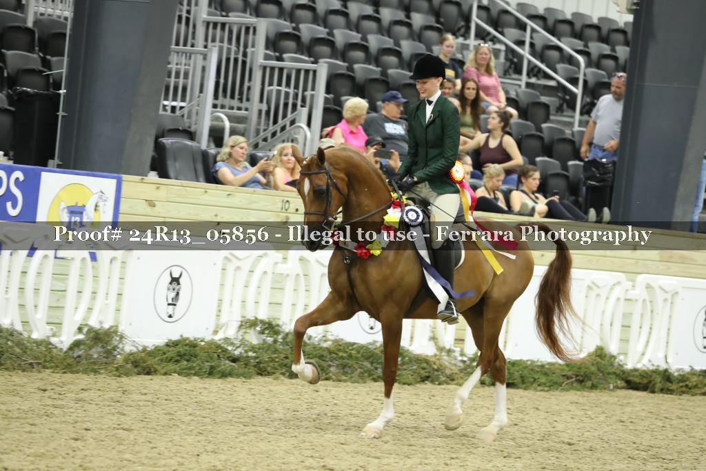 Proof 24R13_05856