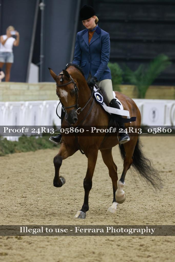 Proof 24R13_05860